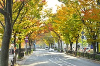 秋色に染まる芦屋写真1
