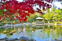 秋色に染まる芦屋写真2